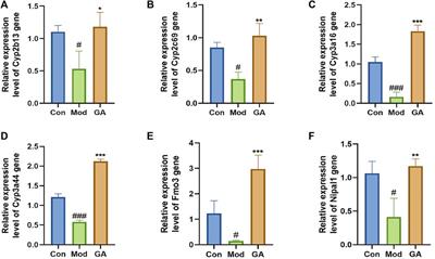 Transcriptome and Lipid Metabolomics-Based Discovery: Glycyrrhizic Acid Alleviates Tripterygium Glycoside Tablet-Induced Acute Liver Injury by Regulating the Activities of CYP and the Metabolism of Phosphoglycerides